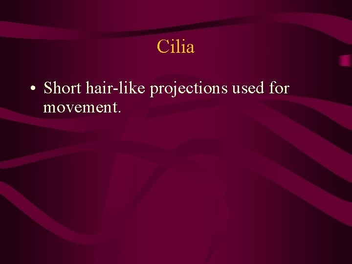 Cilia • Short hair-like projections used for movement. Cilia • Short hair-like projections used for movement.
