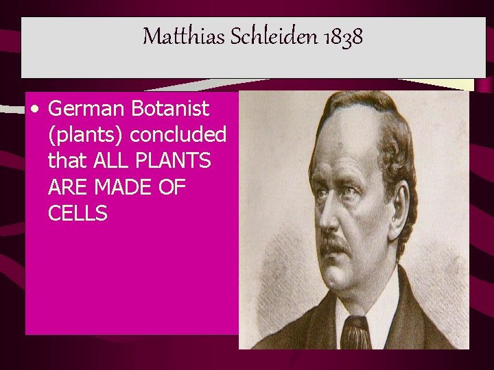 Matthias Schleiden 1838 • German Botanist (plants) concluded that ALL PLANTS ARE MADE OF Matthias Schleiden 1838 • German Botanist (plants) concluded that ALL PLANTS ARE MADE OF