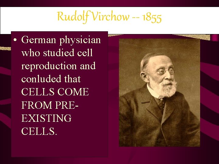 Rudolf Virchow -- 1855 • German physician who studied cell reproduction and conluded that Rudolf Virchow -- 1855 • German physician who studied cell reproduction and conluded that