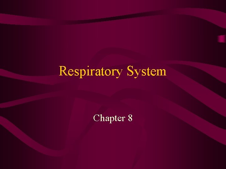 Respiratory System Chapter 8 Functions of the Respiratory