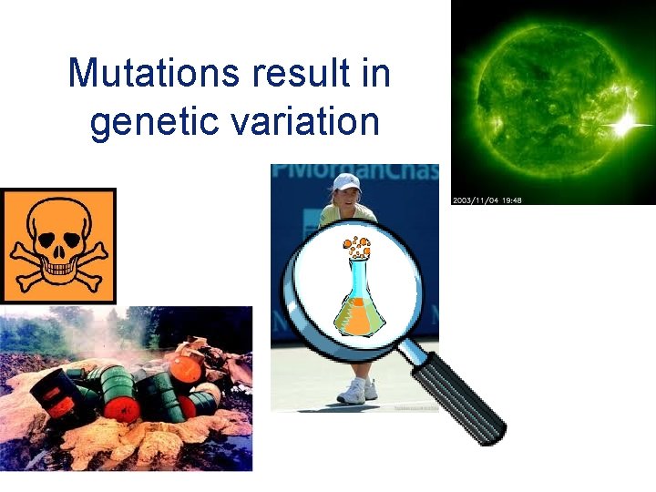 Mutations result in genetic variation 