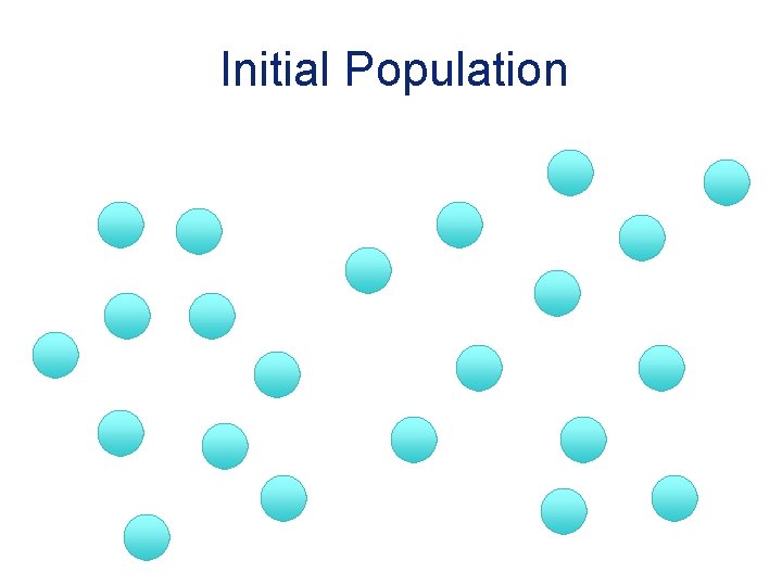 Initial Population 