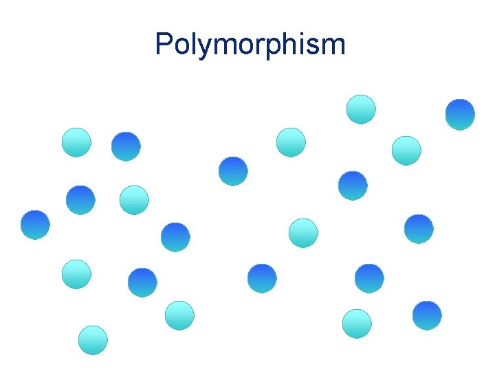Polymorphism 