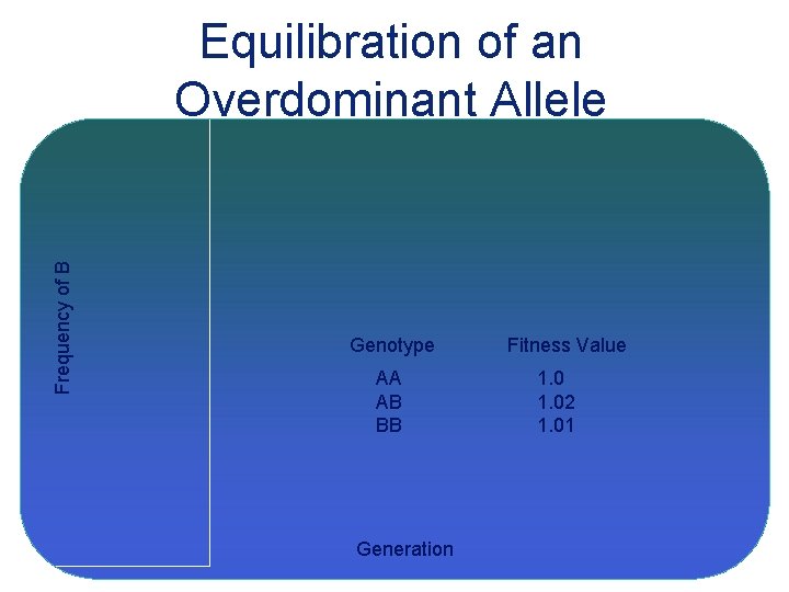 Frequency of B Equilibration of an Overdominant Allele Genotype AA AB BB Generation Fitness