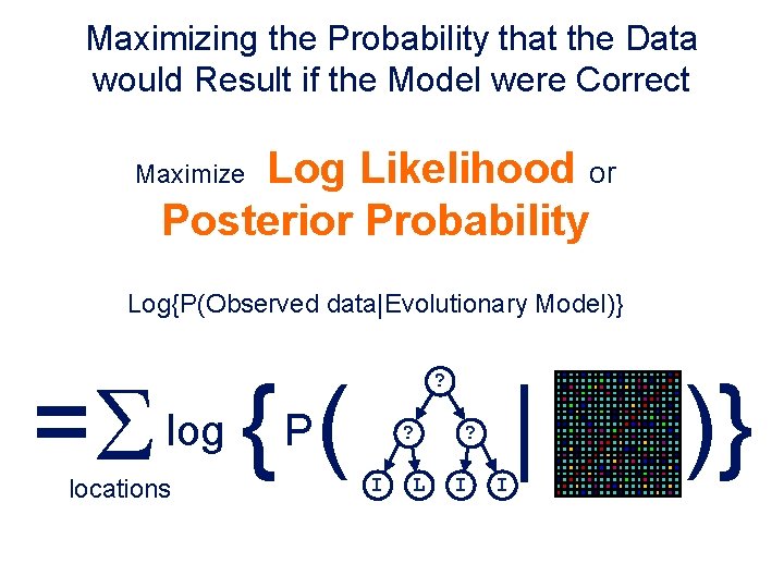 Maximizing the Probability that the Data would Result if the Model were Correct Log