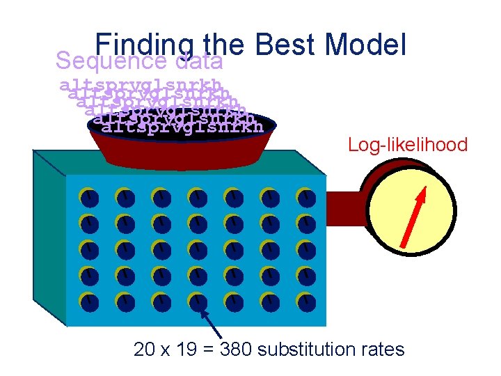 Finding the Best Model Sequence data altsprvglsnrkh altsprvglsnrkh Log-likelihood 20 x 19 = 380