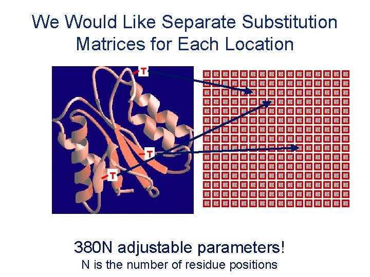 We Would Like Separate Substitution Matrices for Each Location T T T 380 N