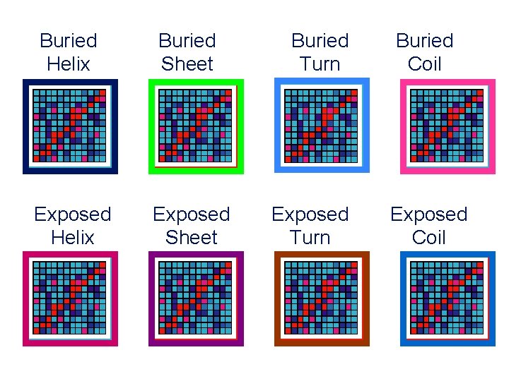 Buried Helix Buried Sheet Exposed Helix Exposed Sheet Buried Turn Exposed Turn Buried Coil