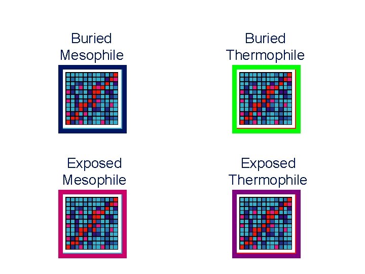 Buried Mesophile Buried Thermophile Exposed Mesophile Exposed Thermophile 