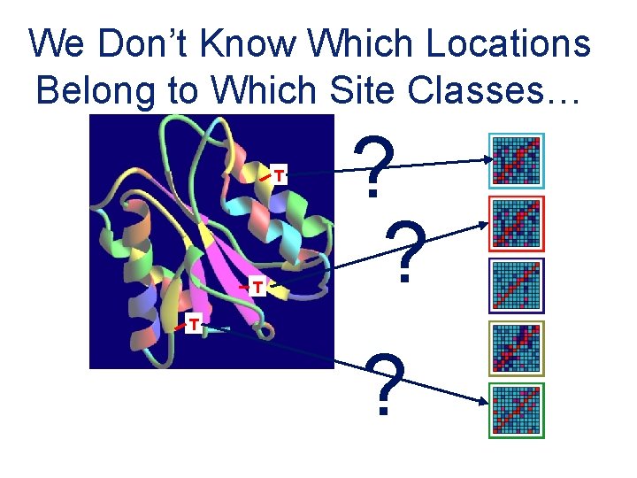 We Don’t Know Which Locations Belong to Which Site Classes… T T ? ?