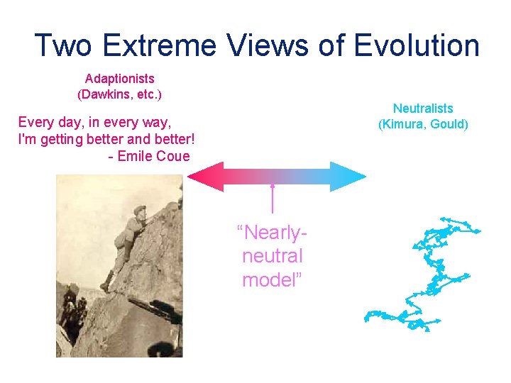Two Extreme Views of Evolution Adaptionists (Dawkins, etc. ) Neutralists (Kimura, Gould) Every day,