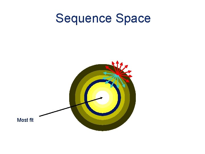 Sequence Space Most fit 
