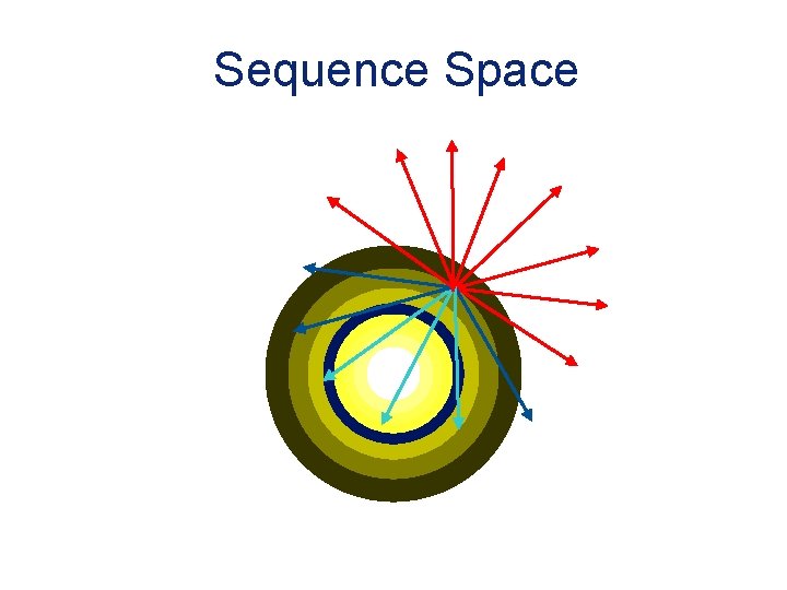 Sequence Space 