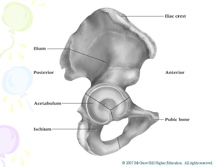 © 2007 Mc. Graw-Hill Higher Education. All rights reserved. 