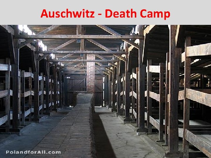 Auschwitz - Death Camp 