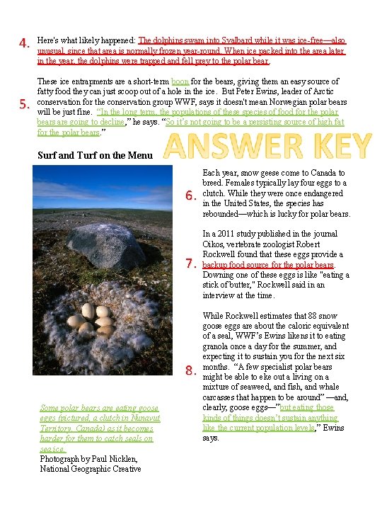 4. 5. Here's what likely happened: The dolphins swam into Svalbard while it was