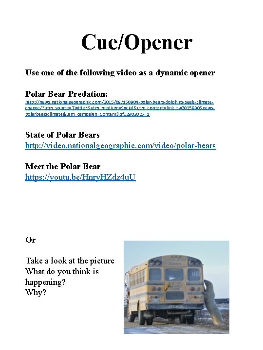 Cue/Opener Use one of the following video as a dynamic opener Polar Bear Predation: