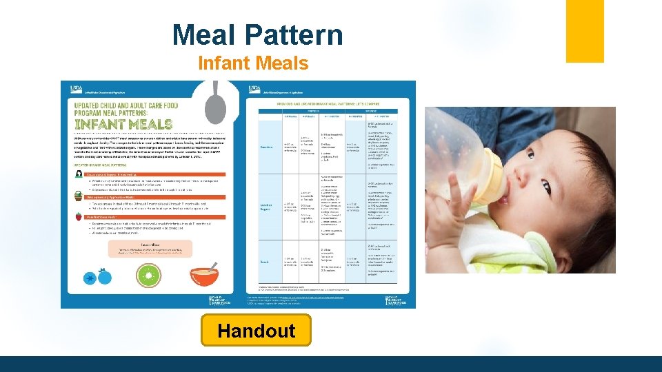 Meal Pattern Infant Meals Handout 