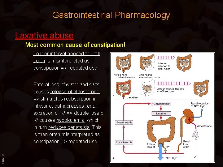 Gastrointestinal Pharmacology Laxative abuse: Most common cause of constipation! – Longer interval needed to