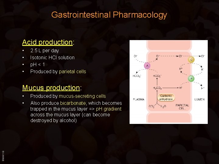 Gastrointestinal Pharmacology Acid production: • • 2. 5 L per day Isotonic HCl solution