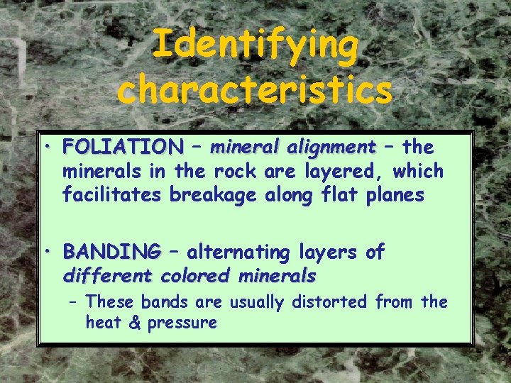Identifying characteristics • FOLIATION – mineral alignment – the minerals in the rock are Identifying characteristics • FOLIATION – mineral alignment – the minerals in the rock are