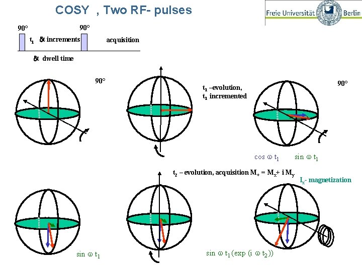 COSY , Two RF- pulses 90° t 1 dt increments acquisition dt dwell time