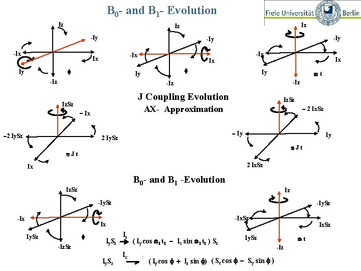 B 0 - and B 1 - Evolution Iz Iz Iz -Iy B 0