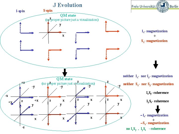 J Evolution S-spin I-spin QM state (nozproper picture just a visualization) y Ix- magnetization