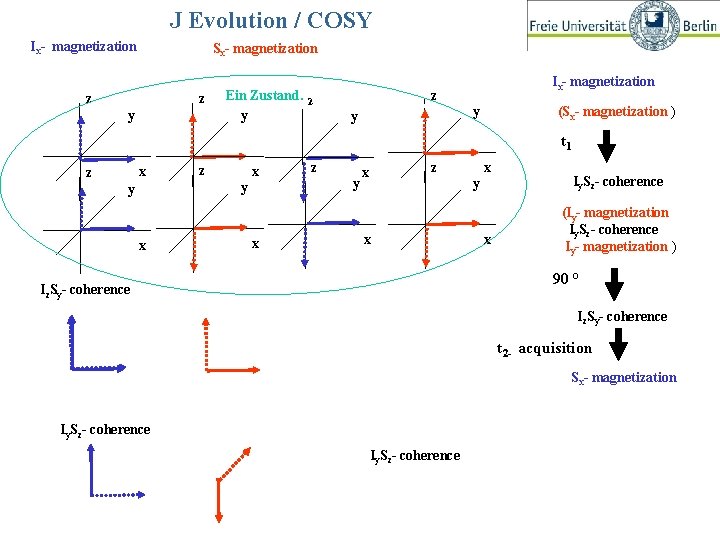 J Evolution / COSY Ix- magnetization Sx- magnetization Kopplungsentwicklung z z y Ein Zustand.