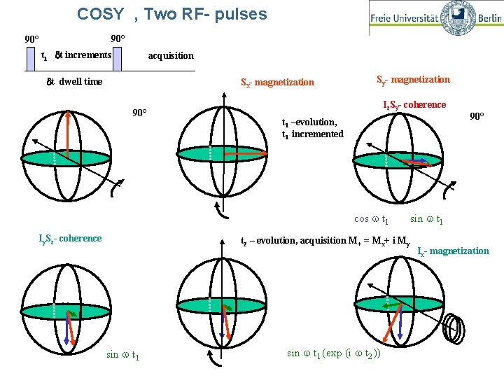 COSY , Two RF- pulses 90° t 1 dt increments acquisition dt dwell time