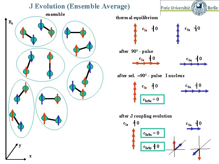 J Evolution (Ensemble Average) ensemble B 0 thermal equilibrium c. Iz = 0 after