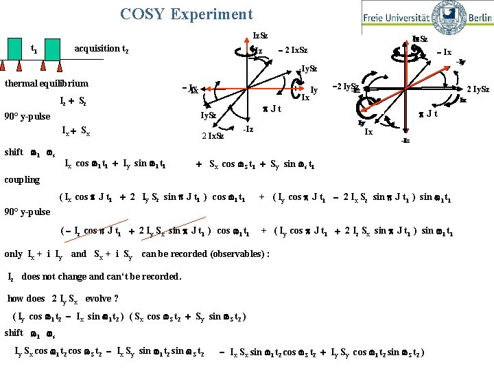 COSY Experiment Iz. Sz t 1 acquisition t 2 Iz Iz Iz. Sz -