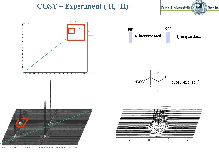 COSY – Experiment (1 H, 1 H) COSY- Experiment 90° 1 1 90° (