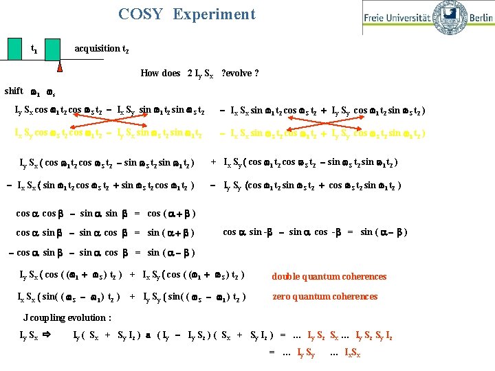 COSY Experiment t 1 acquisition t 2 COSY- Experiment How does 2 Iy Sx