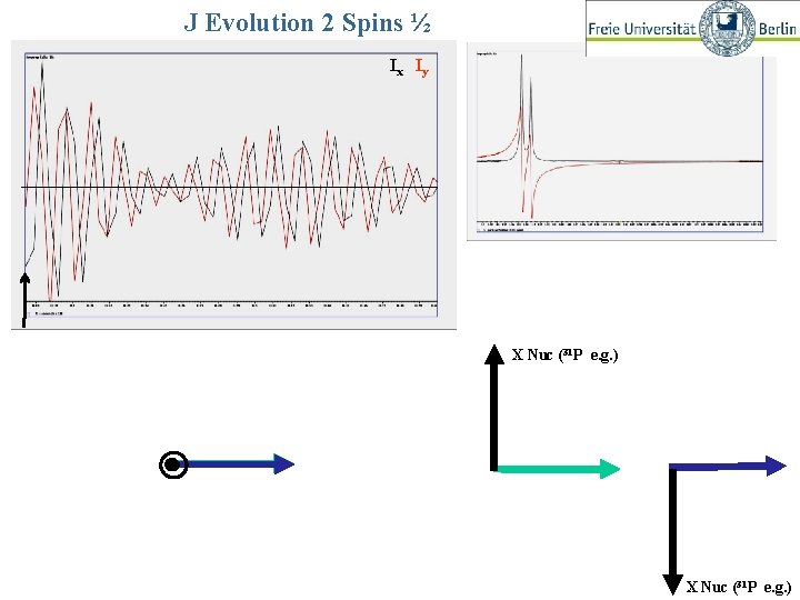 J Evolution 2 Spins ½ Ix Iy Kopplungsentwicklung 2 Spins ½ X Nuc (31
