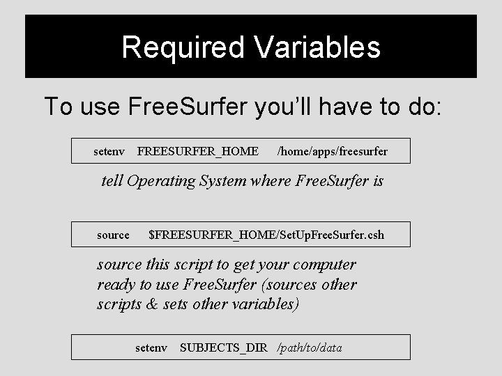 Required Variables To use Free. Surfer you’ll have to do: setenv FREESURFER_HOME /home/apps/freesurfer tell