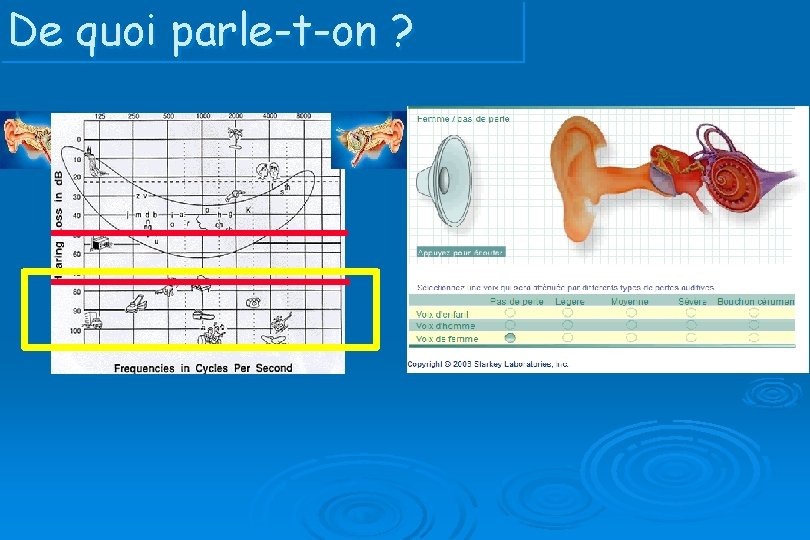 De quoi parle-t-on ? 