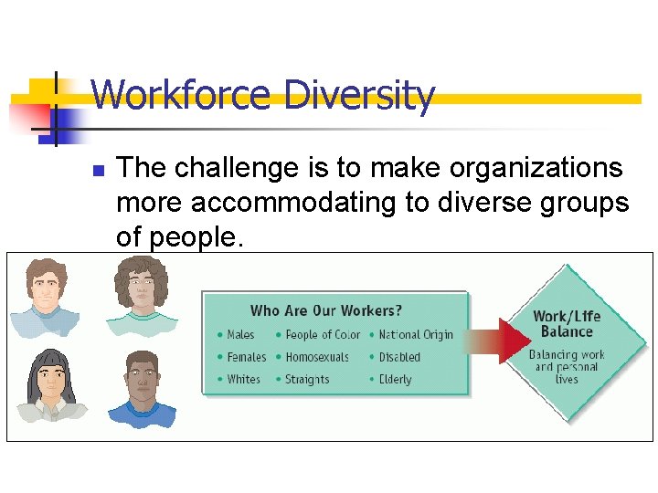 Workforce Diversity n The challenge is to make organizations more accommodating to diverse groups