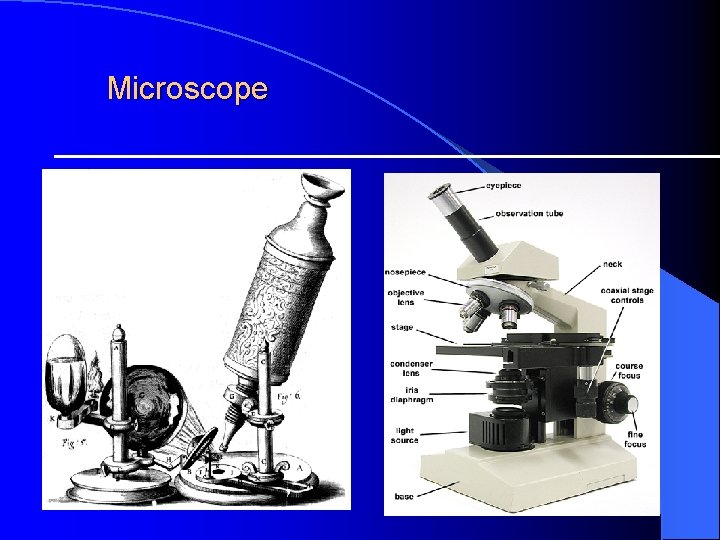  Microscope 