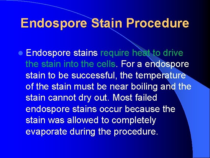 Endospore Stain Procedure l Endospore stains require heat to drive the stain into the