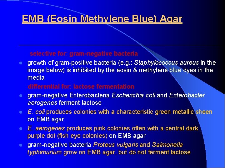 EMB (Eosin Methylene Blue) Agar l l l selective for: gram-negative bacteria growth of