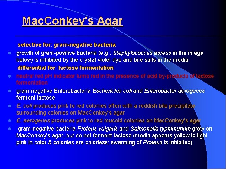  Mac. Conkey's Agar l l l selective for: gram-negative bacteria growth of gram-positive