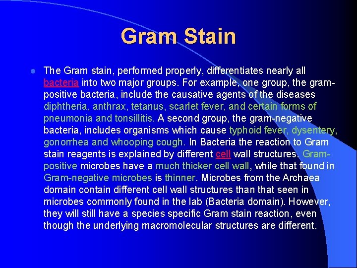  Gram Stain l The Gram stain, performed properly, differentiates nearly all bacteria into