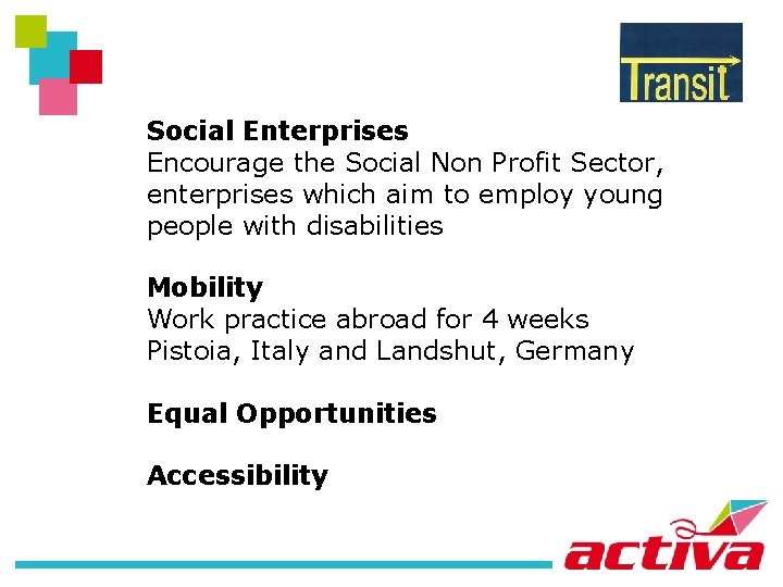 Social Enterprises Encourage the Social Non Profit Sector, enterprises which aim to employ young