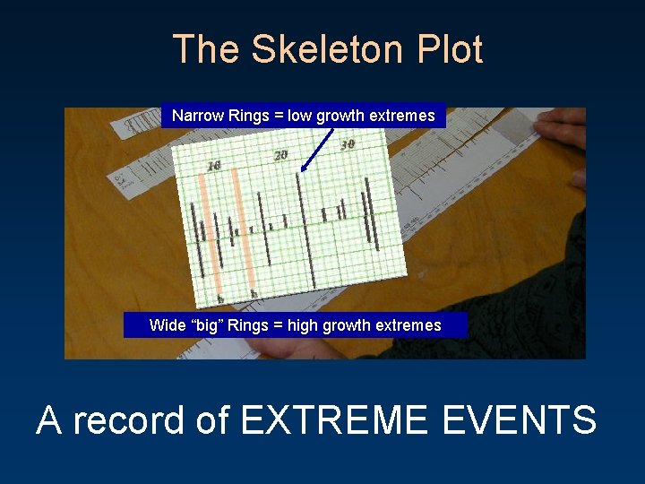 The Skeleton Plot Narrow Rings = low growth extremes Wide “big” Rings = high