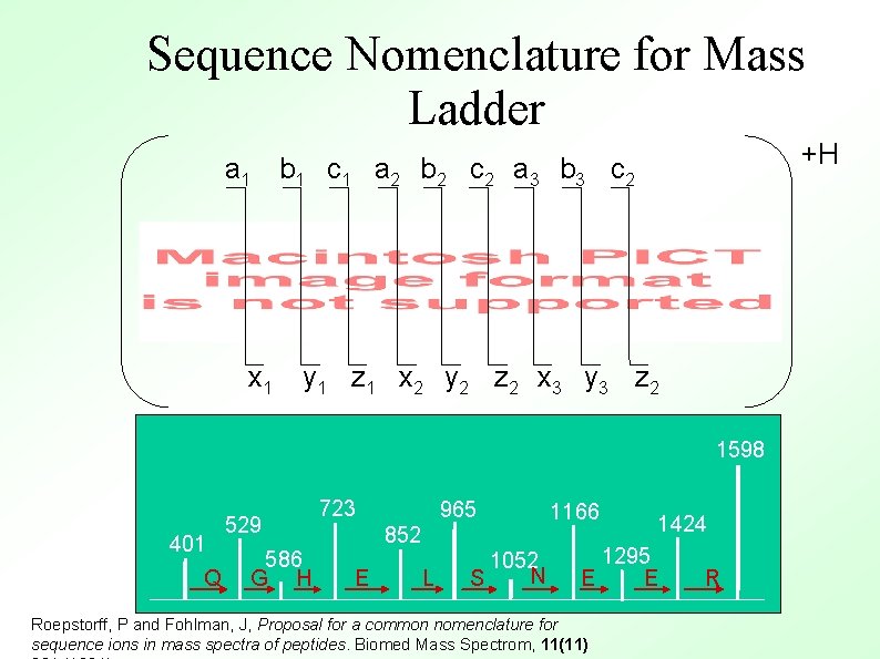 Sequence Nomenclature for Mass Ladder +H a 1 b 1 c 1 a 2