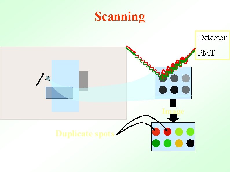 Scanning Detector PMT Image Duplicate spots 