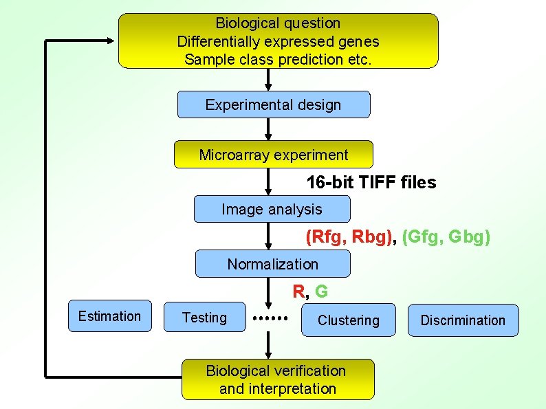 Biological question Differentially expressed genes Sample class prediction etc. Experimental design Microarray experiment 16