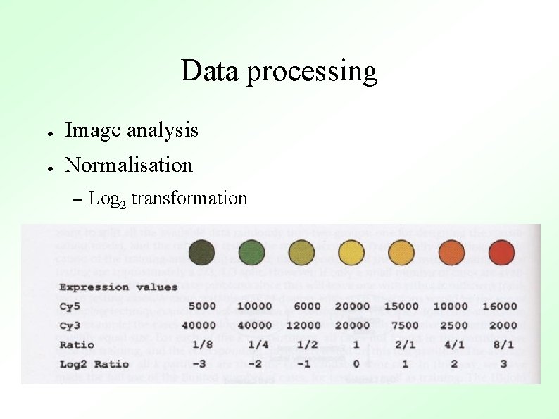 Data processing ● Image analysis ● Normalisation – Log 2 transformation 