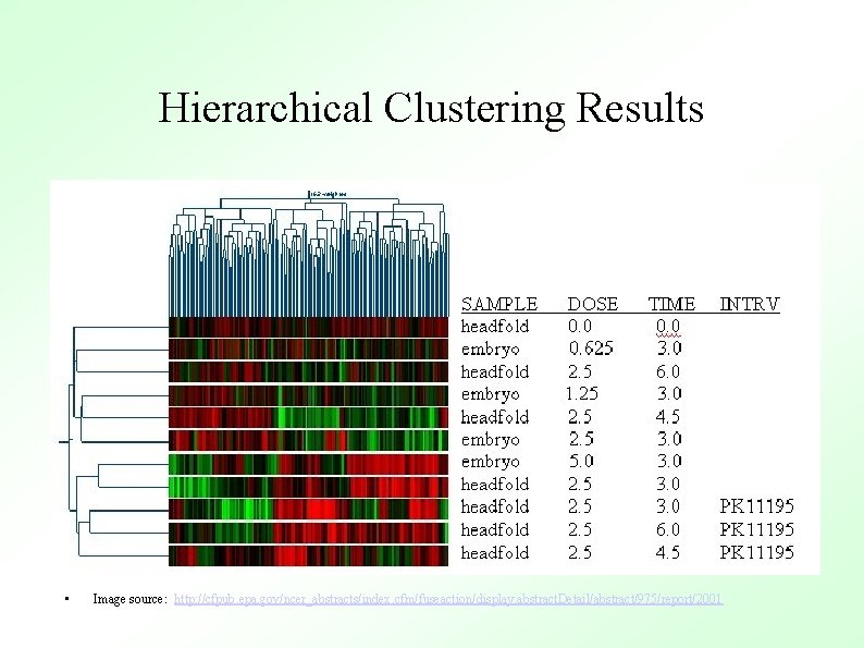 Hierarchical Clustering Results • Image source: http: //cfpub. epa. gov/ncer_abstracts/index. cfm/fuseaction/display. abstract. Detail/abstract/975/report/2001 